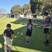 Cricket